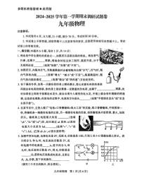 河南省平顶山市2024-2025学年九年级物理上学期期末试卷