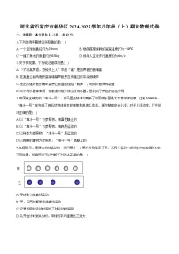 河北省石家庄市新华区2024-2025学年八年级(上)期末物理试卷
