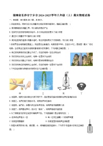湖南省长沙市宁乡市2024-2025学年八年级（上）期末物理试卷