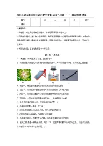 2022-2023学年河北省石家庄市新华区九年级（上）期末物理试卷（含解析）