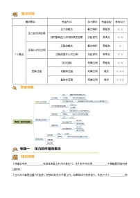 2024-2025学年八年级下册物理同步单元讲练测第九章固体压强-讲核心(原卷版+解析)