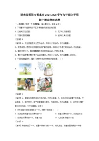 2024-2025学年湖南省邵阳市邵东市九年级上学期期中测试物理试卷（解析版）