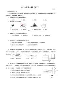 2025年上海市九年级物理一模松江区试卷含答案