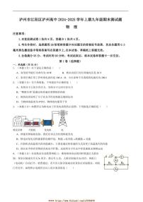 2024～2025学年四川省泸州市泸州高级中学校九年级上1月期末考试物理试卷(含答案)
