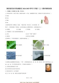 2024～2025学年陕西省西安市西咸新区八年级(上)期末物理试卷(含答案)