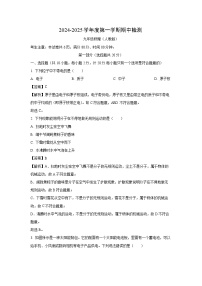 2024~2025学年陕西省延安市富县九年级上期中检测物理试卷（解析版）