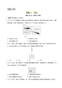 专题11 浮力（测试）-中考物理一轮复习讲练测（广东专用）