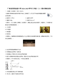 广东省深圳高级中学2024-2025学年八年级（上）期末物理试卷（含解析）