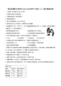 湖北省襄阳市枣阳市2024-2025学年八年级（上）期末物理试卷（含解析）
