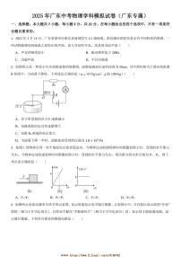 2025年广东中考物理学科模拟试卷(广东专属)(含解析)