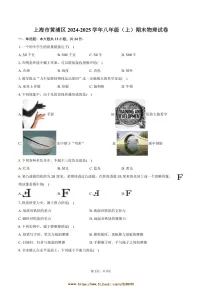 2024～2025学年上海市黄浦区八年级(上)期末物理试卷(含答案)