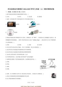 2024～2025学年河北省保定市清苑区九年级(上)期末物理试卷(含解析)