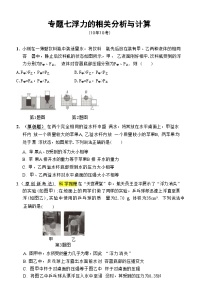 2025年河北省中考物理复习专题特训 ：浮力