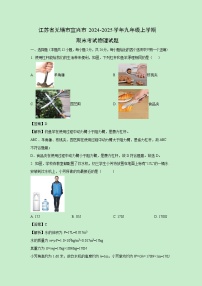 2024-2025学年江苏省无锡市宜兴市九年级上学期期末考试物理试卷（解析版）