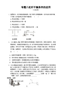 2025年河北省中考物理复习专题特训 ：杠杆