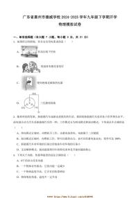 2024～2025学年广东省惠州市德威学校九年级下开学物理模拟试卷(含答案)