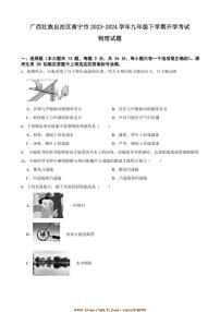2023～2024学年广西壮族自治区南宁市九年级下开学考试物理试卷(含解析)