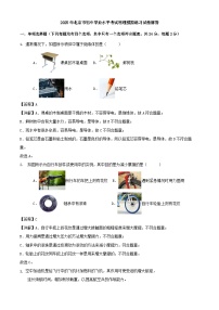 2025年北京市初中学业水平考试物理模拟练习试卷解答