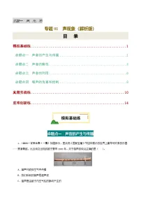 专题01 声现象（练习）-2025年中考物理一轮复习讲义及练习