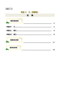 专题08 力（练习）-2025年中考物理一轮复习讲义及练习