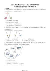 2024北京重点校初三（上）期中真题物理汇编：电流和电路章节综合（单选题）1