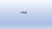 中考物理二轮复习专题突破课件 声现象（含答案）