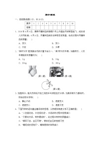 期中测试（试卷）-2024-2025学年北师大版（2024）物理八年级下册