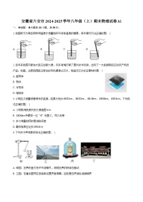 安徽省六安市舒城县2024-2025学年八年级（上）期末物理试卷-