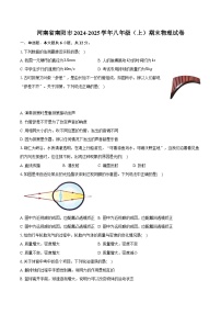 河南省南阳市2024-2025学年八年级（上）期末物理试卷