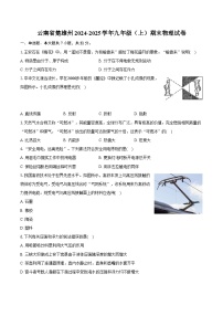 云南省楚雄州2024-2025学年九年级（上）期末物理试卷