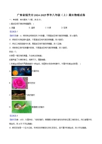 广东省韶关市2024-2025学年八年级（上）期末物理试卷