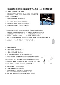 湖北省武汉市硚口区2024-2025学年八年级（上）期末物理试卷