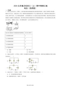 2024北京重点校初三（上）期中真题物理汇编：电压（选择题）