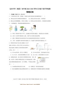 2024～2025学年深圳市宝安中学(集团)初中部九年级下册开学检测物理试卷(含答案)
