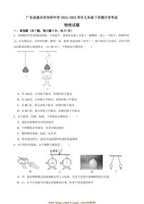 2024～2025学年广东省惠州市华侨中学九年级下开学考试物理试卷(含解析)