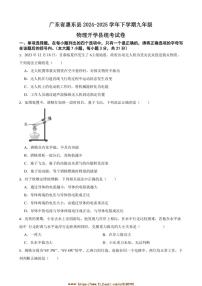 2024～2025学年广东省惠东县九年级下物理开学县统考试卷(含答案)