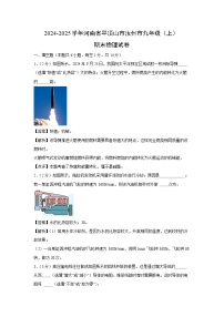 河南省平顶山市汝州市2024-2025学年九年级上学期期末物理试卷（解析版）