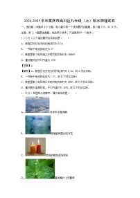 重庆市南川区2024-2025学年九年级上学期期末物理试卷（解析版）