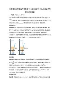 安徽省淮南市淮南市多校联考2024-2025学年九年级上学期期末物理试卷（解析版）