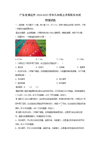 广东省清远市2024-2025学年九年级上学期期末物理试卷（解析版）