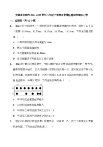 安徽省合肥市2024-2025学年八年级下学期开学适应性模拟测试 物理练习卷（含解析）