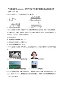 广东省深圳市2024-2025学年八年级下学期开学适应性模拟测试 物理练习卷（含解析）