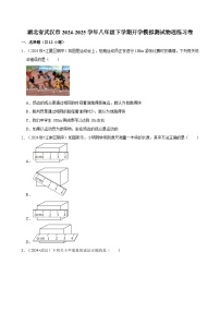 湖北省武汉市2024-2025学年八年级下学期开学模拟测试 物理练习卷(1)（含解析）