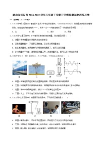 湖北省武汉市2024-2025学年八年级下学期开学适应性模拟测试 物理练习卷 (1)（含解析）