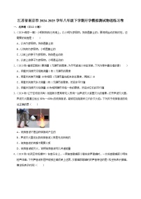 江苏省南京市2024-2025学年八年级下学期开学适应性模拟测试 物理练习卷（含解析）