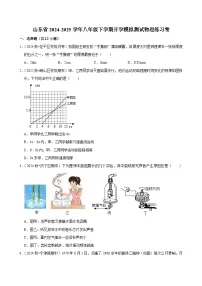山东省2024-2025学年八年级下学期开学适应性模拟测试 物理练习卷（含解析）