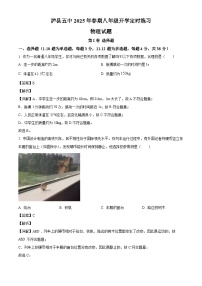 四川省泸州市泸县第五中学2024-2025学年八年级下学期开学 物理试题（含解析）