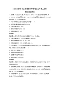 云南省昆明市嵩明县2024-2025学年九年级(上)期末物理试卷（解析版）