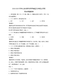 山东省青岛市市南区2024-2025学年九年级(上)期末物理试卷（解析版）