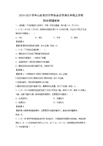 山东省济宁市鱼台县等地2024-2025学年九年级(上)期末物理试卷（解析版）